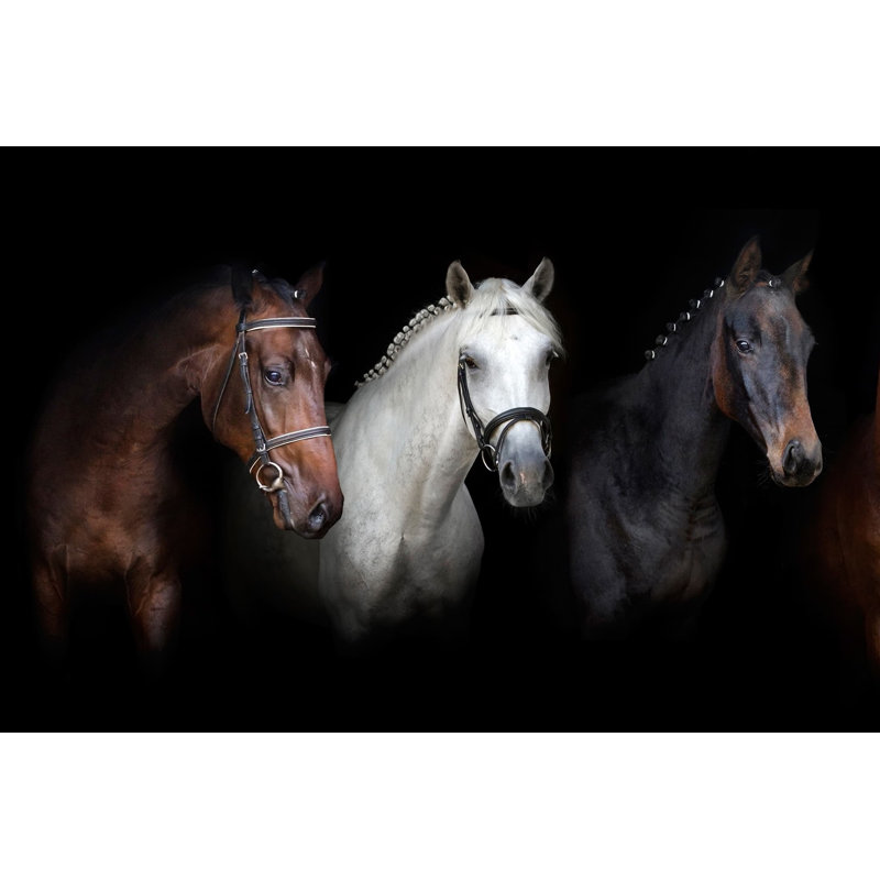 Art sur toile, "Regal Trio", H 36 po x l 48 po