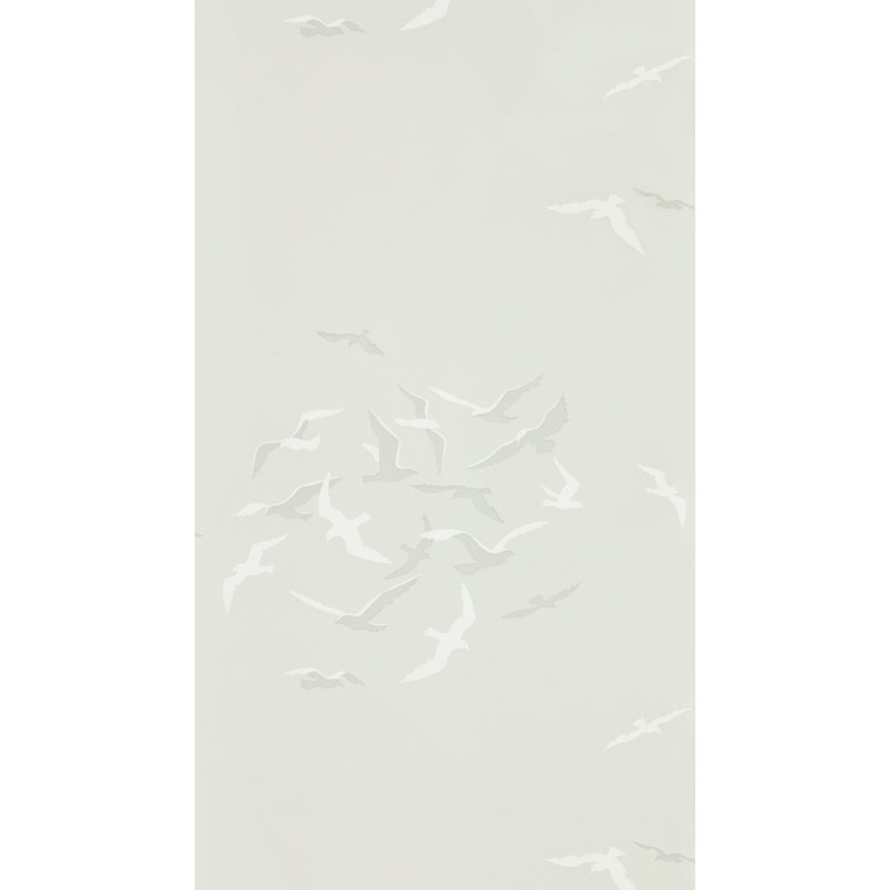 Larina, Grey