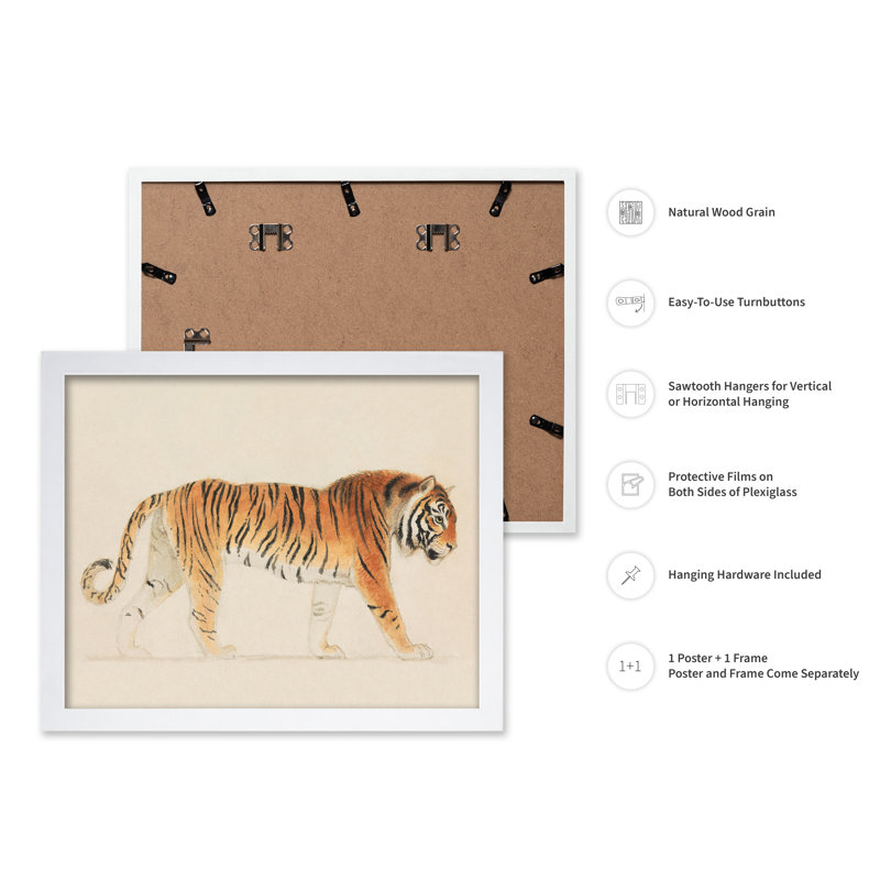 Thomas Stothard - Un tigre, Affiche, H 24 po x l 32 po, Encadrement blanc