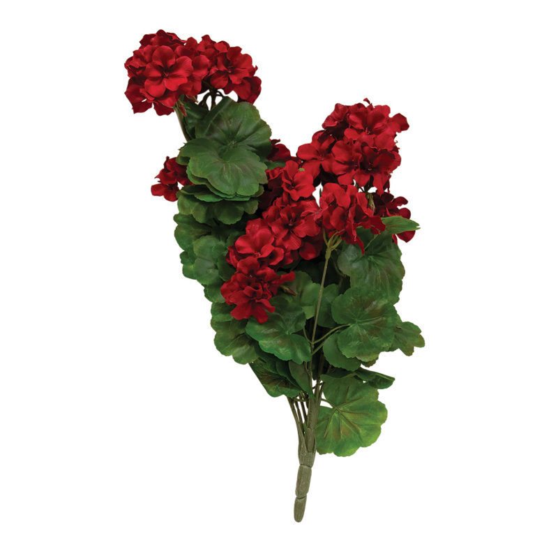 22 plantes