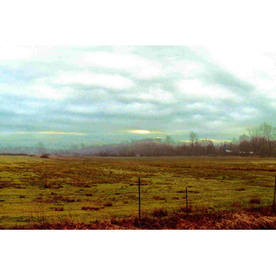 «Landscape II» par Danielle Harrington, reproduction sur toile tendue