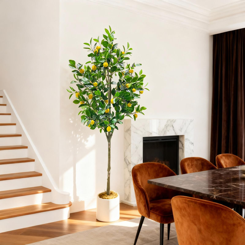 180cm Plant
