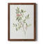 Toile encadrée simple Sprig IV de qualité supérieure - prête à être accrochée-1649907283-1649907285
