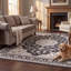 Tapis Poplar2 traditionnel à médaillon délavé, style persan, gris ivoire et beige, lavable à la machine, antidérapant, à poils courts, pour l'intérieur et l'extérieur, adapté aux animaux domestiques, idéal pour le salon, la chambre, la salle à manger, l'entrée, le couloir ou le bureau.-1247353365