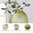 Steave Glass Table Vase