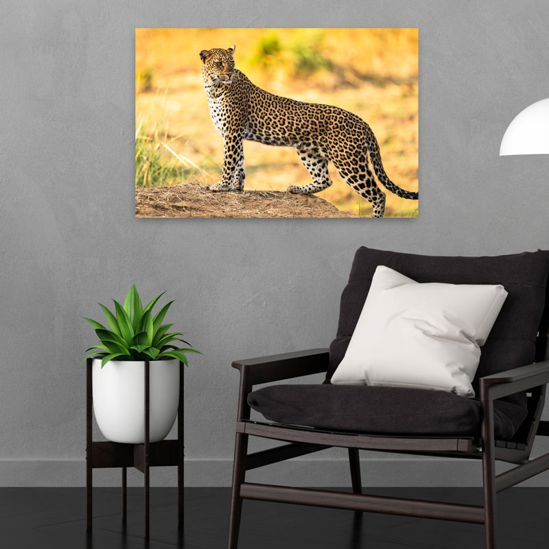 Watchful Leopard Elegant Contemporary Cat Animal Nature Wall Art Print 1 Piece Wrapped Canvas Wall Art, 40.64cm H x 60.96cm W