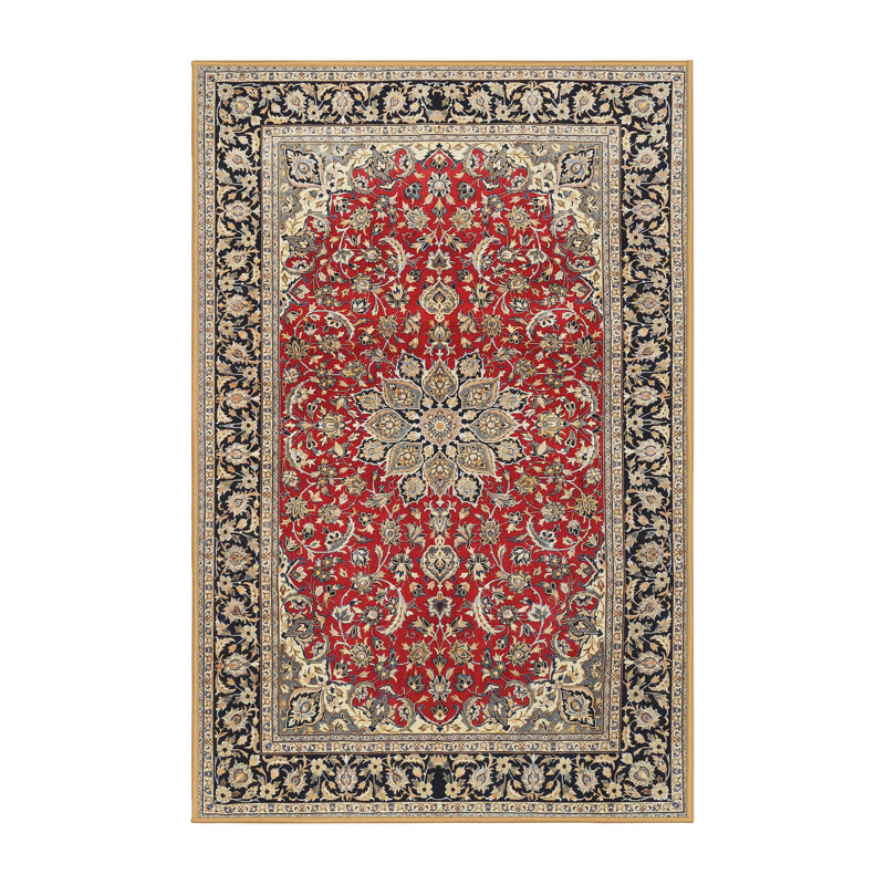 Anaiya Oriental Indoor Rug, Rectangle 4' x 6'