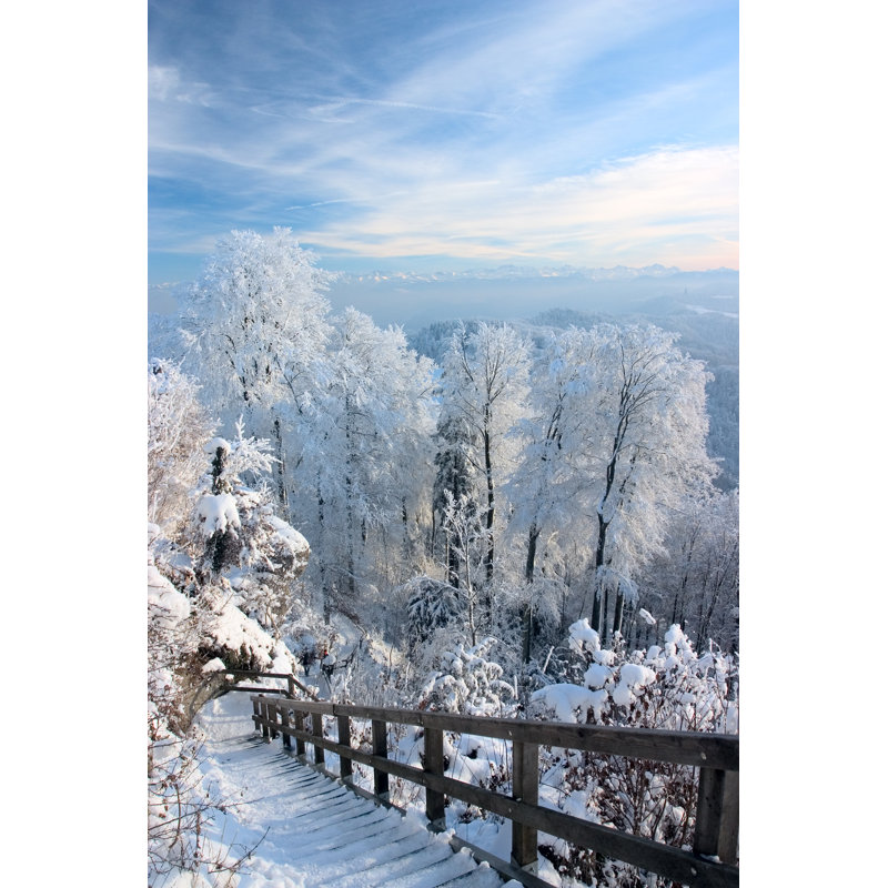 Snow Covered Trees And A Stairway by Emurtola - Wrapped Canvas Print, 30cm H x 46cm W