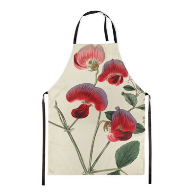 Perennial Sweetpea - Botanical Aprons