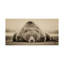 « Deep Sleep » par PHBurchett, reproduction de photo sur toile tendue-1439635558