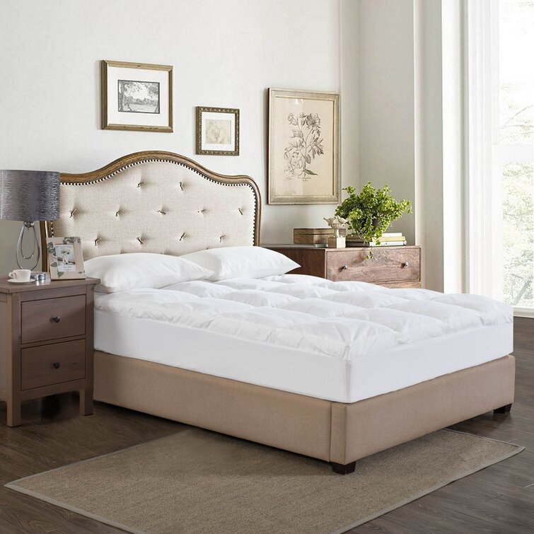 https://assets.wfcdn.com/im/68220896/resize-h755-w755%5Ecompr-r85/1129/112977361/Ashly+3%27%27+Mattress+Topper.jpg