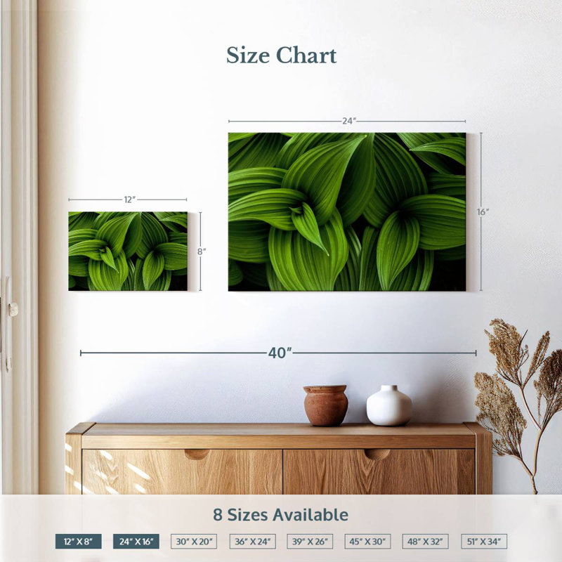 Harnek Green False Hellebore, 16" H x 24" W