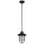 Luminaire suspendu en pot 1 lumière Glossop