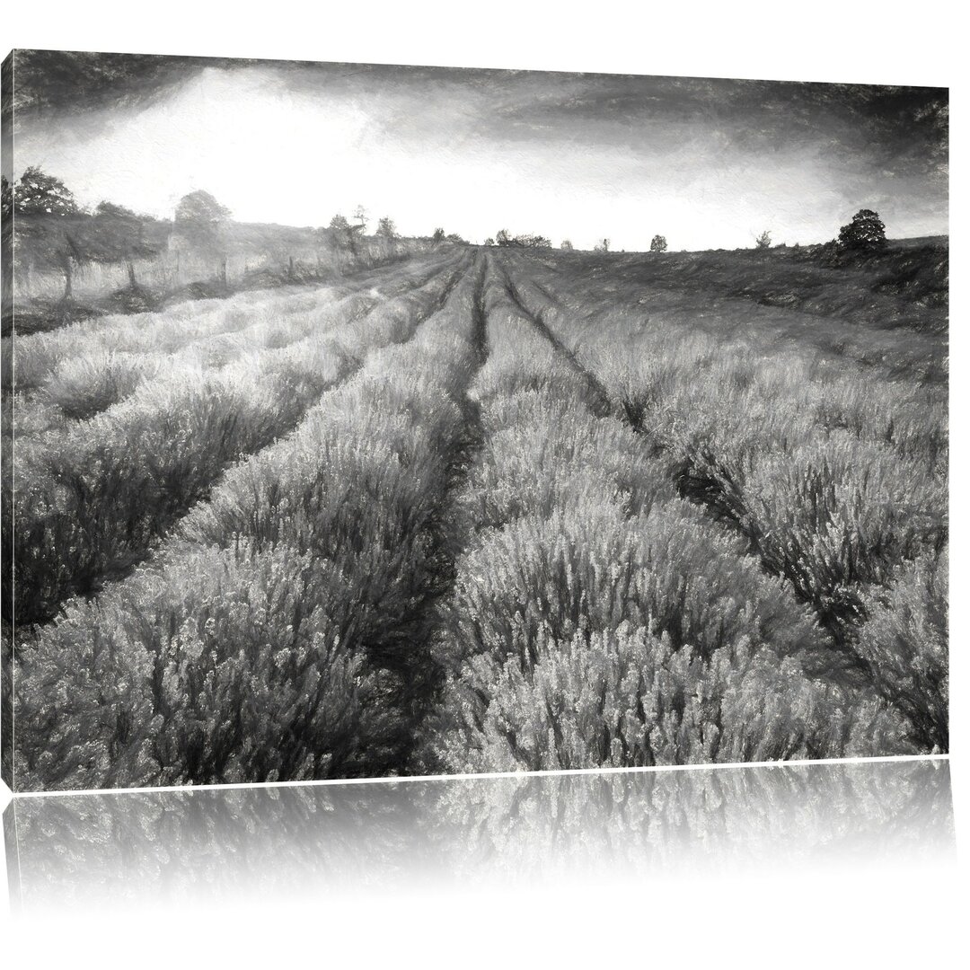 Leinwandbild Lavendelfeld in Frankreich in Schwarz/Weiß