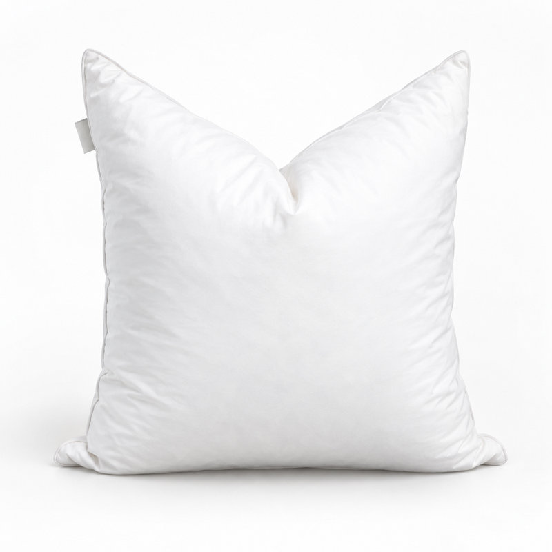 Goose Feather & Down Pillow Insert, 95% Feather 5% Down, Plush Decorative Pillow Insert, Square,    20"H x 20"W  