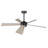 5 Blades Indoor Ceiling Fan Dimmable LED Light Kit And Remote , 6-Speed Noiseless Reversible DC Motor-2048701226-2054405702