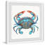« icy blue crab crab », reproduction encadrée-33346933