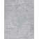 Janousek Oriental Indoor Rug