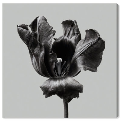Tidal Wilt II Print by Oliver Gal