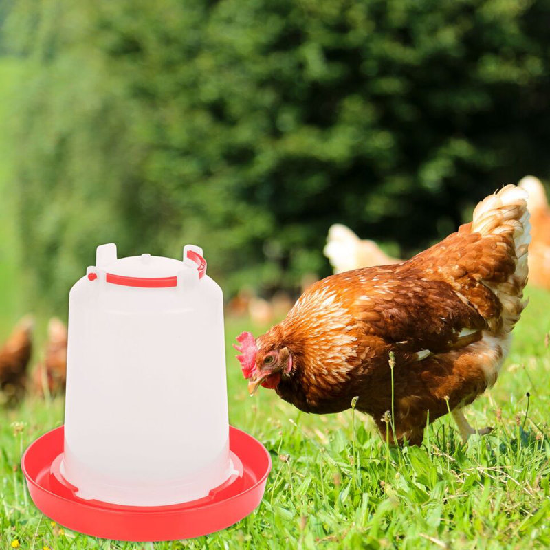 Aurion Freestanding Feeding Station