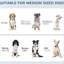 Alimentation pour chien avec outils de repas cachés, panneau réglable, crochets pour chiens moyens, bols noirs, moyen