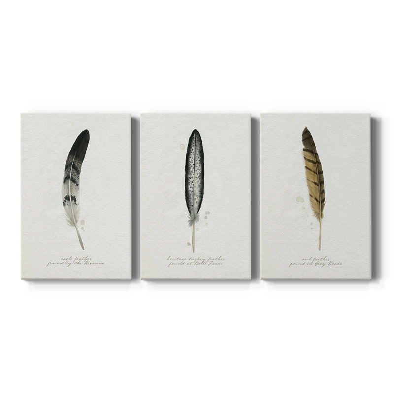 Found Feather I - Toile tendue avec châssis sur mesure - 3 pièces, H 12 po x l 24 po