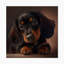 Mignon chiot teckel - impression de chien teckel-88040983-88040984