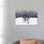 Toile tendue
