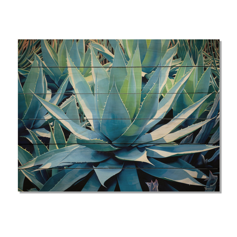 «Moolchul Green Succulents Majestic Agave I» sur impression sur bois, H 10 po x l 20 po x P 0,78 po