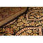 Oriental Area Rug in Black/Red/Camel