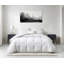 Édredon de luxe en duvet d'oie blanche 600 l avec couverture en coton biologique Tencel 300T - grand-130133016