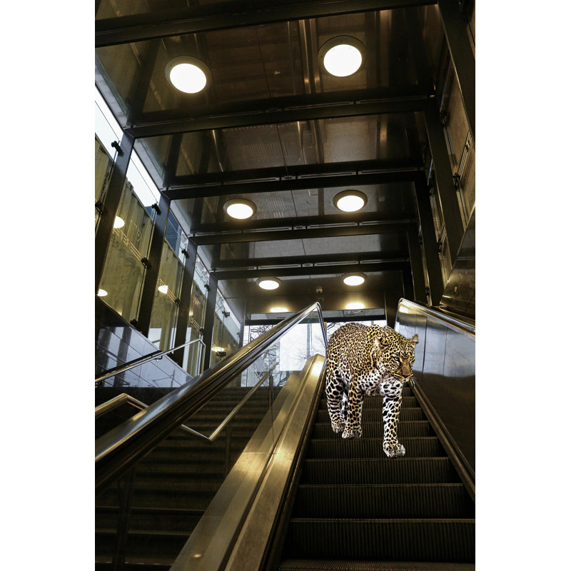 Leopard on the Mall Escalator by Grotto Studios