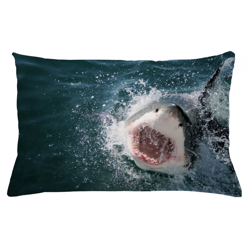 Housse de coussin lombaire intérieur/extérieur shark, 16 po x 26 po