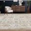 Wool Oriental Area Rug in Beige