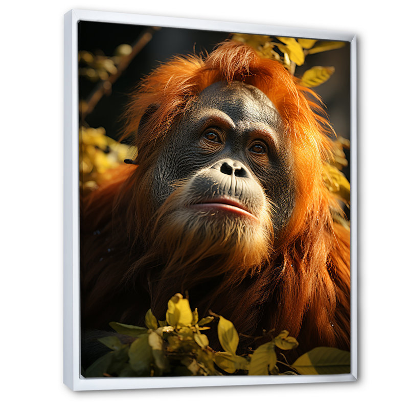 Orang-outan des singes dans la jungle ensoleillée, Cadre flottant blanc, 44" H x 34" W