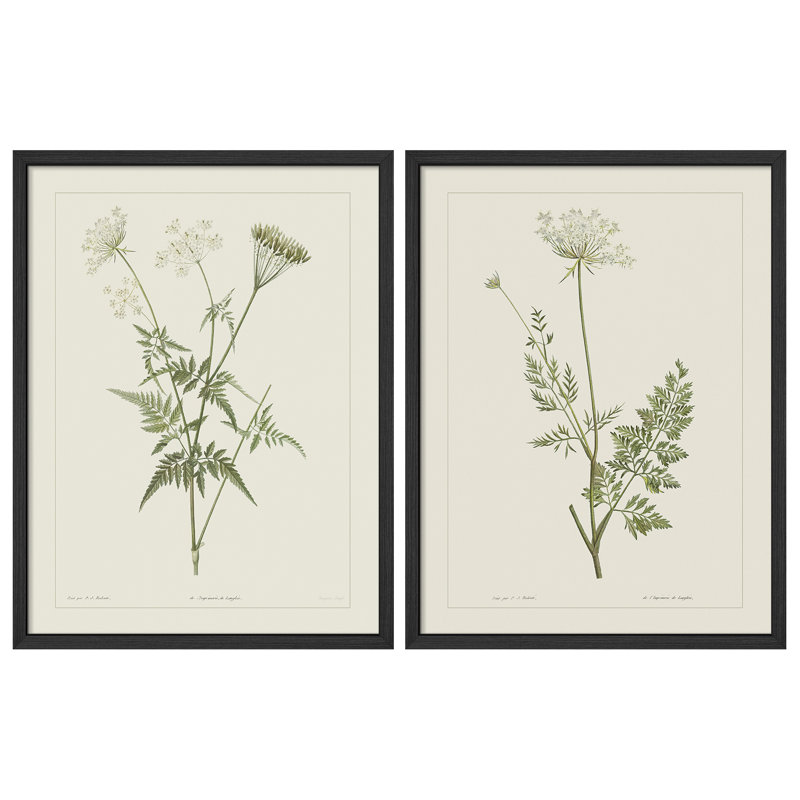 «Vintage Botanical Herb Study», ensemble de 2 reproductions d'art mural encadrées - Illustration de plante verte minimale pour la salle à manger de la cuisine