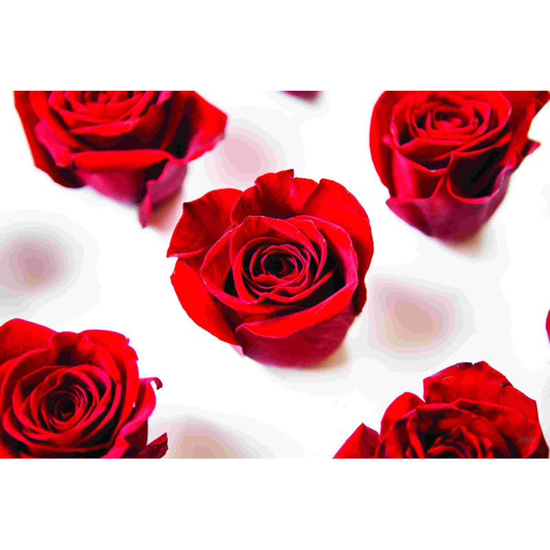 Red Roses I - Wrapped Canvas Photograph, 8" H x 12" W