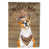 Basenji