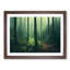 An Enviable Forest - Framed Print-1928165252-1928165275