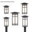 Lanterne 1 lumière de 10 po de hauteur Grydton-131230056