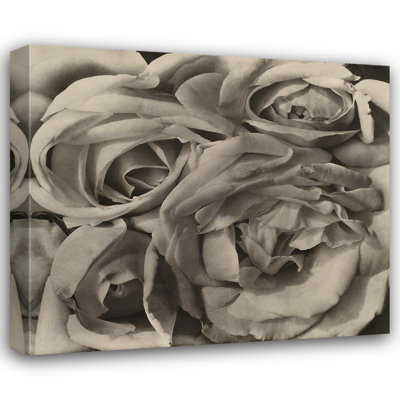 Roses, Mexico MCG-M1552