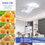 Deandrew LED Semi Flush Mount