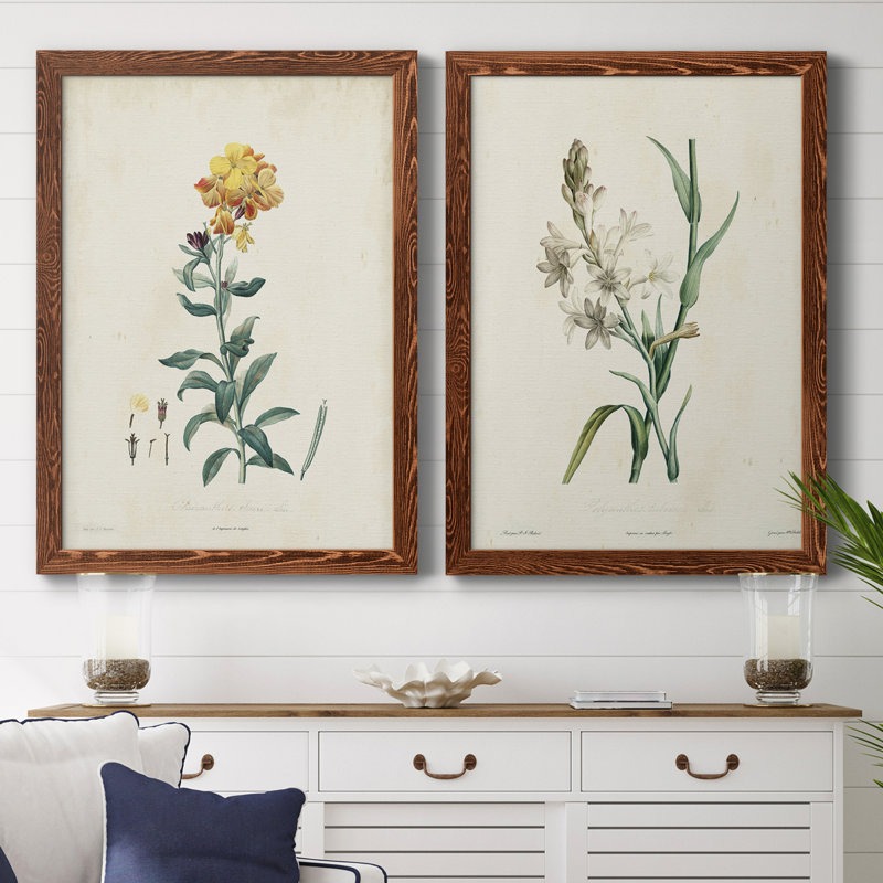 Toile encadrée de qualité supérieure Traditional Botanical III - prête à être accrochée, H 24 po x l 36 po x P 1,5 po