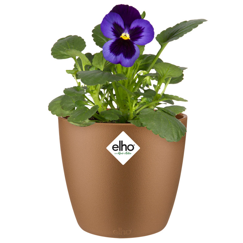 Pot Planter, Velvet Gold, 11cm H x 10cm W x 10cm D