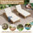 Set of 2 Acacia Wood Outdoor Chaise Lounge Chairs with 4" Cushions, 5-Position Adjustable Reclining Backrest, Patio Lounge Chairs for Poolside, Garden, or Balcony-1487111501-1487111499