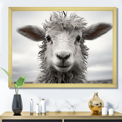 Sheep Serenity - Sheep Canvas Wall Art