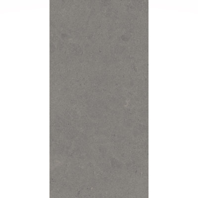 Artistic Freedom 12"X24" Porcelain Stone Look