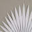 Sabal 3-Piece Framed Shadowbox Wall Art with Handmade Rice Paper Palm Leaves