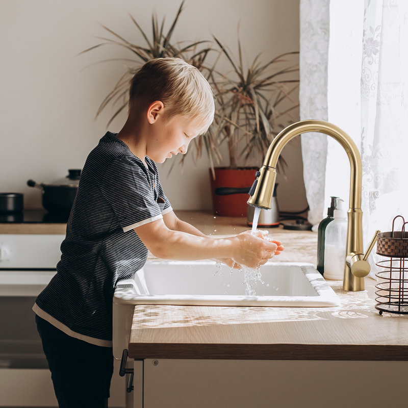 Pull Out Kitchen Faucet, Gold