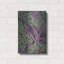 Art mural en métal luxueux «Cabbage Stalks» par Andrea Strongwater-106419336